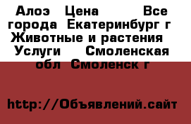 Алоэ › Цена ­ 150 - Все города, Екатеринбург г. Животные и растения » Услуги   . Смоленская обл.,Смоленск г.